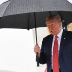 Trump Umbrella