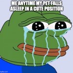 AWW | ME ANYTIME MY PET FALLS ASLEEP IN A CUTE POSITION | image tagged in pepe happy crying,pet,animals,cute,happy,sleeping shaq | made w/ Imgflip meme maker