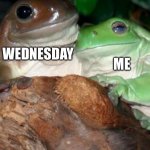 Wednesday | ME; WEDNESDAY | image tagged in frogs,wednesday,enjoy,memes | made w/ Imgflip meme maker