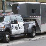 Police truck towing a horse trailer