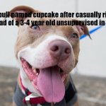 that one pitbull | A pitbull named cupcake after casually ripping out a head of a 3-4 year old unsupervised in the park: | image tagged in cute pitbull | made w/ Imgflip meme maker