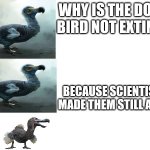 Dodo bird pun | WHY IS THE DODO BIRD NOT EXTINCT; BECAUSE SCIENTISTS MADE THEM STILL ALIVE | image tagged in dodo bird pun | made w/ Imgflip meme maker