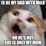 Oh no Cat | IS HE MY DAD WITH MILK; NO HE'S NOT SHE IS ONLY MY MOM | image tagged in oh no cat | made w/ Imgflip meme maker