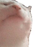 e.g. Funny Hat
