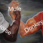 How do these names mix?!