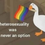 heterosexuality was never an option