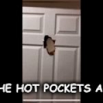 HOOOT POOOCCCKKEETSSS | HI; WHEN THE HOT POCKETS ARE DONE | image tagged in gifs,elmo | made w/ Imgflip video-to-gif maker