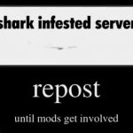 Shark Infested Server meme