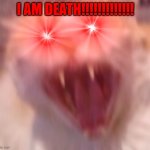 Angry cat | I AM DEATH!!!!!!!!!!!!! | image tagged in angry cat | made w/ Imgflip meme maker