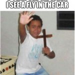 Satan begone | 8 YEAR OLD ME WHEN I SEE A FLY IN THE CAR | image tagged in begone satan | made w/ Imgflip meme maker