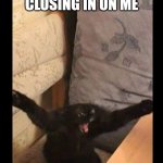 THE WALLS ARE CLOSING IN ON ME | THE WALLS ARE CLOSING IN ON ME | image tagged in scared cat,cat | made w/ Imgflip meme maker