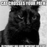 Black cat pissed | IF A BLACK
CAT CROSSES YOUR PATH, HE PROBABLY HAS SOME IMPORTANT CAT STUFF
TO DO | image tagged in black cat pissed | made w/ Imgflip meme maker