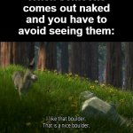 It sure is a nice boulder. | When someone comes out naked and you have to avoid seeing them: | image tagged in shrek donkey i like that boulder that is a nice boulder,memes,naked,boulder,shrek,donkey | made w/ Imgflip meme maker