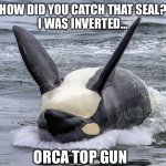 Orca Top Gun | HOW DID YOU CATCH THAT SEAL?
I WAS INVERTED…; ORCA TOP GUN | image tagged in orca | made w/ Imgflip meme maker