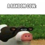 Perhaps cow | AD: GOT MILK; A RANDOM COW:; PERHAPS | image tagged in perhaps cow | made w/ Imgflip meme maker