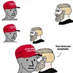 MAGA your terms are acceptable meme