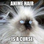 Hair | ANIME HAIR; IS A CURSE | image tagged in crazy hair cat,real,life,anime,hair | made w/ Imgflip meme maker