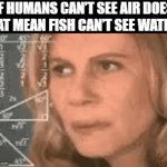 confused lady | IF HUMANS CAN’T SEE AIR DOES THAT MEAN FISH CAN’T SEE WATER? | image tagged in gifs,math lady/confused lady,memes,funny,hilarious memes | made w/ Imgflip video-to-gif maker