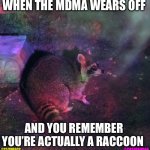 @CashPanda6 @CajunRacc | WHEN THE MDMA WEARS OFF; AND YOU REMEMBER YOU’RE ACTUALLY A RACCOON; @CAJUNRACC; @CASHPANDA6 | image tagged in cashpanda6 cajunracc | made w/ Imgflip meme maker