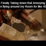 Finally it's gone | Me Finally Taking down that Annoying Fly that's been flying around my Room for like 45 Minutes: | image tagged in gifs,fly,memes,funny,relatable memes,so true memes | made w/ Imgflip video-to-gif maker