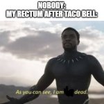 *lifts off* | NOBODY:
MY RECTUM AFTER TACO BELL: | image tagged in as you can see i am not dead,fun,funny,memes | made w/ Imgflip meme maker