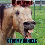 Horse face stormy Daniel's | HORSE FACE; STORMY DANIELS | image tagged in stormy daniels,donald trump | made w/ Imgflip meme maker