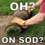 on sod? meme