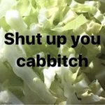 shut up you cabbitch