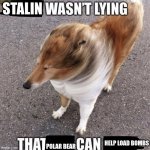 real facts | STALIN; POLAR BEAR; HELP LOAD BOMBS | image tagged in x wasnt lying that y can z | made w/ Imgflip meme maker