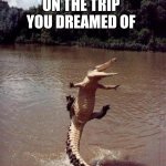 Happy Crocodile | WHEN YOU GET A DUMPING PRICE; ON THE TRIP YOU DREAMED OF | image tagged in happy crocodile | made w/ Imgflip meme maker