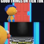 Wow look nothing! | GOOD THINGS ON TICK TOK | image tagged in wow look nothing | made w/ Imgflip meme maker