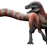 Sinosauropteryx (JWA Design)