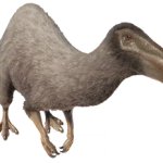 Deinocheirus (JWE Design)