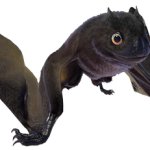 Jeholopterus (JWE Design)