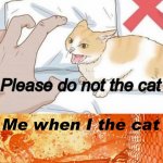 i the cat not am haven't don't cat | Me when I the cat | image tagged in please do not the cat | made w/ Imgflip meme maker