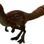 Sinosauropteryx 2 (JWE Design)