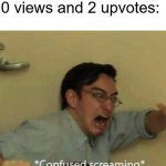 Just reload the page, idiot  -_- | new imgflippers when something has 0 views and 2 upvotes: | image tagged in confused screaming | made w/ Imgflip meme maker