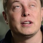Elon musk template