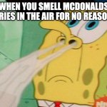 WHERE ARE THE FRIES HIDING TELL ME | WHEN YOU SMELL MCDONALDS FRIES IN THE AIR FOR NO REASON | image tagged in spongebob smelling | made w/ Imgflip meme maker