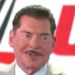 Vince McMahon Moustache