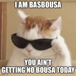 that song | I AM BASBOUSA; YOU AIN'T GETTING NO BOUSA TODAY | image tagged in cool cat,basbousa cat,bousa kiss,song about a cat,the cat from that song | made w/ Imgflip meme maker
