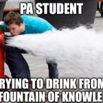 Drinking From Fire Hydrant | PA STUDENT; TRYING TO DRINK FROM THE FOUNTAIN OF KNOWLEDGE | image tagged in drinking from fire hydrant | made w/ Imgflip meme maker