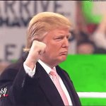 Trump fist jerkoff pedophile liar Nazi traitor JPP GIF Template