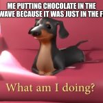 Melt:( | ME PUTTING CHOCOLATE IN THE MICROWAVE BECAUSE IT WAS JUST IN THE FREEZER | image tagged in what am i doing | made w/ Imgflip meme maker