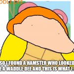 WADDLE DEE | SO I FOUND A HAMSTER WHO LOOKED LIKE A WADDLE DEE AND THIS IS WHAT I DID | image tagged in waddle dee | made w/ Imgflip meme maker