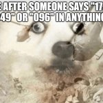 You shall guess why I get PTSD from it. | ME AFTER SOMEONE SAYS "173", "049" OR "096" IN ANYTHING... | image tagged in ptsd dog,mystery | made w/ Imgflip meme maker