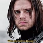 Who the hell is Bucky GIF Template