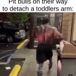 clever | Pit bulls on their way to detach a toddlers arm: | image tagged in gifs,pitbulls,toddler | made w/ Imgflip video-to-gif maker