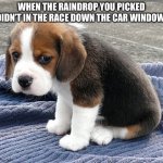 This is accurate tbh | WHEN THE RAINDROP YOU PICKED DIDN’T IN THE RACE DOWN THE CAR WINDOW: | image tagged in sad dog | made w/ Imgflip meme maker