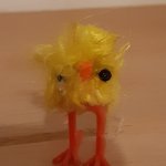 2023 Easter Chick | EASTER CHICK. | image tagged in 2023 easter chick | made w/ Imgflip meme maker
